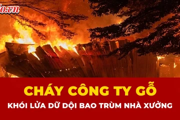Hiện trường vụ cháy công ty gỗ tại TP.HCM
