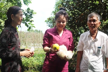 Quỹ hỗ trợ cộng đồng David Dương giúp người dân vươn lên làm giàu