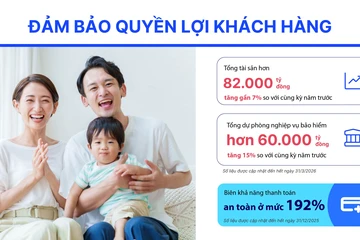 Năng lực chi trả và an toàn vốn: Nền tảng tin cậy tại Dai-ichi Life Việt Nam
