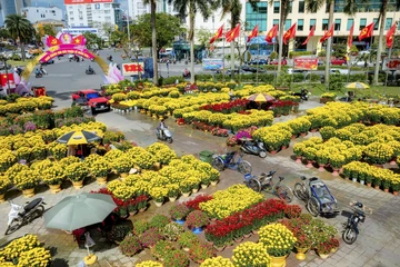 Ngắm diện mạo rực rỡ của Cố đô Huế trong sắc hoa Xuân Bính Ngọ