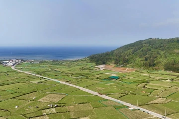 Người từ 70 tuổi trở lên ở Quảng Ngãi được đăng ký trước nơi an táng