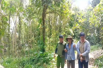 Quảng Ngãi: Người nghi tâm thần dùng gậy gỗ tấn công người dân rồi lên núi cố thủ