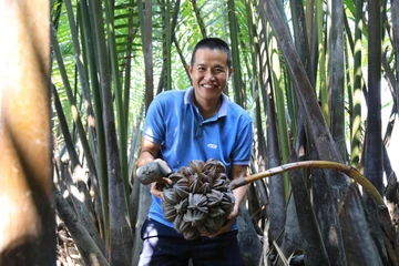 Từ bỏ công việc lương cao, về quê ‘đánh thức’ mật dừa nước ven sông