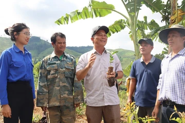 Từ 'Đại hội không hoa' đến triệu cây cà phê: Cách làm mới ở xã vùng cao Tu Mơ Rông