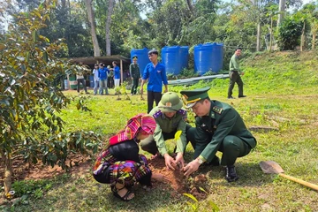 Bộ đội Biên phòng Quảng Trị trồng 25 nghìn cây xanh hưởng ứng Tết trồng cây
