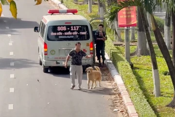 Sở Y tế TP.HCM chấn chỉnh sau loạt điều tra 'xe cứu thương kêu cứu'