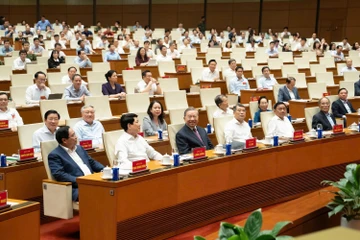 Tổng Bí thư, Chủ tịch nước Tô Lâm: Nền kinh tế chỉ thực sự mạnh khi từng tế bào của nó khỏe mạnh