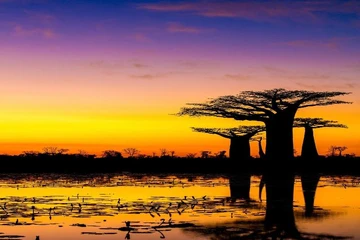 Những cảnh vật thiên nhiên lạ mắt chỉ có ở Madagascar 