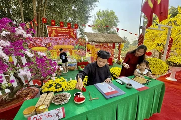 Khai mạc đường hoa Mai vàng Bình Lợi, TP.HCM