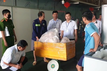 Ngăn chặn 2 tấn thịt heo đã đổi màu, biến chất chuẩn bị được đưa ra thị trường Tết