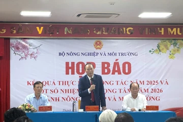 Xuất khẩu sầu riêng, lúa gạo thắng lớn: Vì sao doanh nghiệp vẫn lo 'đói' vốn?