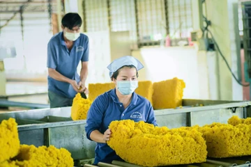 VRG tái cấu trúc toàn diện, mở đường chạm mốc 50.000 tỉ đồng