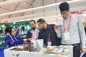 Cà phê Việt Nam rớt giá vì Brazil được mùa, có nên ghìm hàng chờ giá đỉnh?