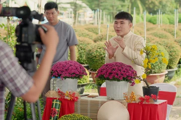 Tết đến sớm hơn trên những khung hình livestream