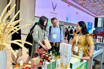 Đan Mạch hỗ trợ Việt Nam hoàn thiện bộ chỉ tiêu thống kê về Việc làm Xanh