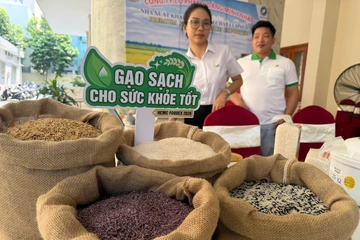 TP.HCM có thêm 2 hội chuyên biệt hỗ trợ doanh nghiệp chuyển đổi xanh