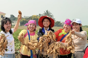 Khoai lang, chẩm chéo Điện Biên... đắt hàng trên sóng livestream