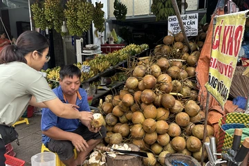 Nắng nóng kéo dài, giá dừa tươi bật tăng