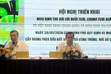 Thứ trưởng: Đừng biến mã số vùng trồng thành 'giấy phép con' 