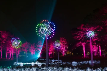  Lâm Đồng 'chơi lớn': Bắn pháo hoa suốt 1 tháng tại Công viên Hoa và Ánh sáng