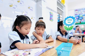 Phụ huynh TP.HCM cần lưu ý gì khi rà soát dữ liệu tuyển sinh đầu cấp?