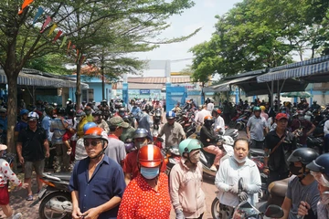 Vụ nghi ngộ độc tại trường Bình Quới Tây: UBND TP.HCM chỉ đạo xây dựng kịch bản ứng phó