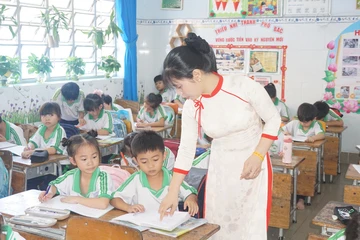 Sở GD&ĐT TP.HCM lưu ý lỗi sai phổ biến khi đăng ký tuyển sinh đầu cấp