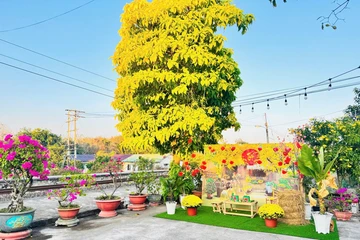 Khi ga tàu ngày Tết trở thành điểm check-in mới cho hành khách