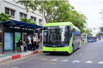 Miễn phí xe buýt tại TP.HCM: 'Đòn bẩy mềm' cho chuyển dịch đô thị xanh