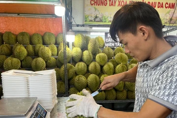 Xuất khẩu sầu riêng của Việt Nam có thể cán mốc 1 tỉ USD trong quý I