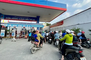 Gần 7 triệu lượt tìm kiếm về xăng dầu trong 12 ngày khi giá biến động 