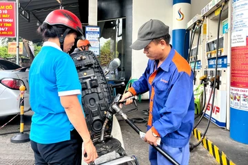 Trước giờ G phủ sóng xăng E10 toàn quốc: Cần khoa học,khách quan