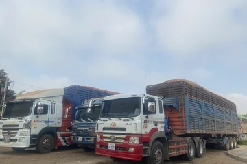 Bộ NN&MT nói gì về việc hàng trăm ngàn tấn nông sản tắc tại cửa khẩu vì vướng Nghị định 46/2026?