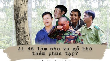 Ai đã làm cho vụ cưa gỗ khô thêm phức tạp?