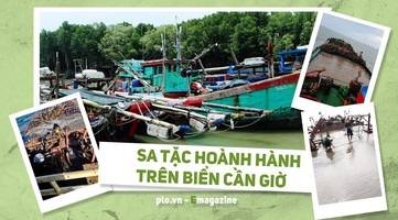 Sa tặc hoành hành trên biển Cần Giờ