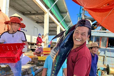 Hôm nay ra mắt Chương trình Cùng ngư dân thắp sáng đèn trên biển: Hỗ trợ ngư dân, đưa thủy sản Việt phát triển bền vững