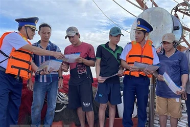 Việt Nam làm việc với Ủy ban châu Âu về vấn đề khai thác IUU