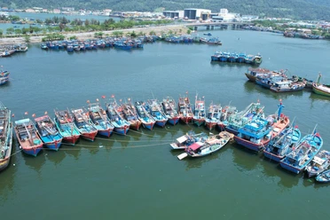 Hôm nay, chương trình 'Cùng ngư dân thắp sáng đèn trên biển' đến Đà Nẵng