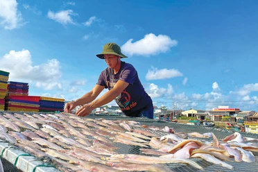 Thành quả sau chuyến ra khơi của ngư dân.