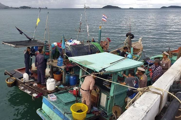 Thái Lan bắt giữ một số người Việt tham gia đánh bắt cá trái phép vào năm 2019 ở biển của nước này.