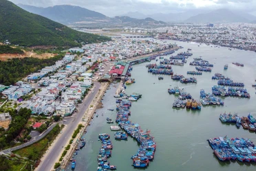 Chùm ảnh: Nhộn nhịp cảng cá lớn nhất Nam Trung Bộ