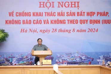 Thủ tướng: Doanh nghiệp không thu mua thuỷ sản có nguồn gốc từ khai thác IUU