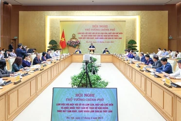 Thủ tướng chỉ đạo khẩn trương tháo gỡ khó khăn cho ngành thuỷ sản, gỗ
