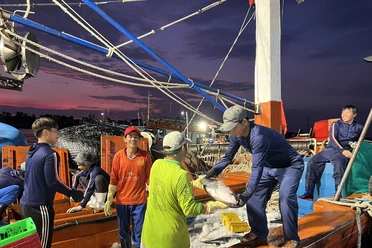 Ngư dân Quảng Bình chung tay gỡ 'thẻ vàng' IUU