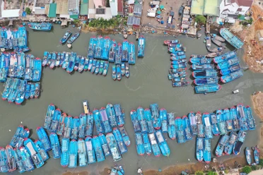 Tỉnh Phú Yên: Xử lý dứt điểm tàu cá 'ba không' trước 20-11