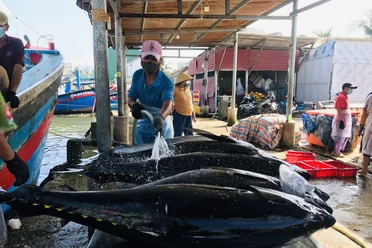 Bình Định nỗ lực ngăn ngư dân vi phạm IUU dịp Tết Nguyên đán Giáp Thìn