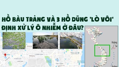 Hồ Bàu Trảng và 3 hồ Dũng 'lò vôi' định xử lý ô nhiễm ở đâu?