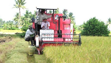Vựa lúa gạo của cả nước chờ được ‘giải cứu’