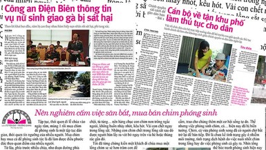 Hãy ngừng săn bắt, mua bán chim phóng sinh!