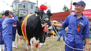 'Bữa tiệc' thâu tóm còn dang dở của đại gia